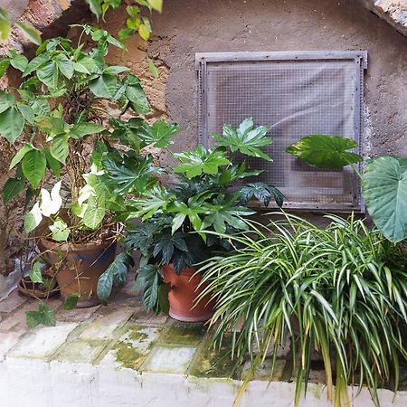 Casa Lujan - Califa Casas Vejer Villa Vejer de la Frontera Eksteriør bilde