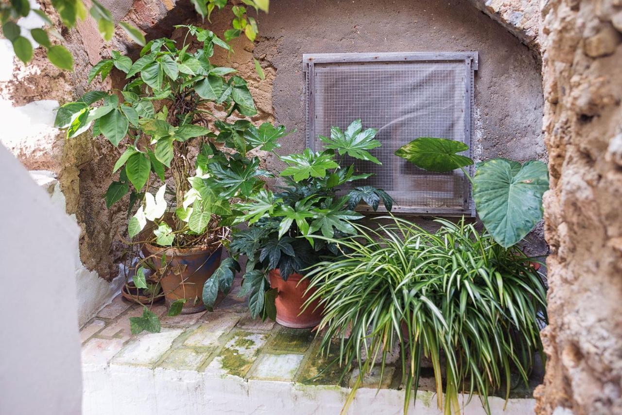 Casa Lujan - Califa Casas Vejer Villa Vejer de la Frontera Eksteriør bilde